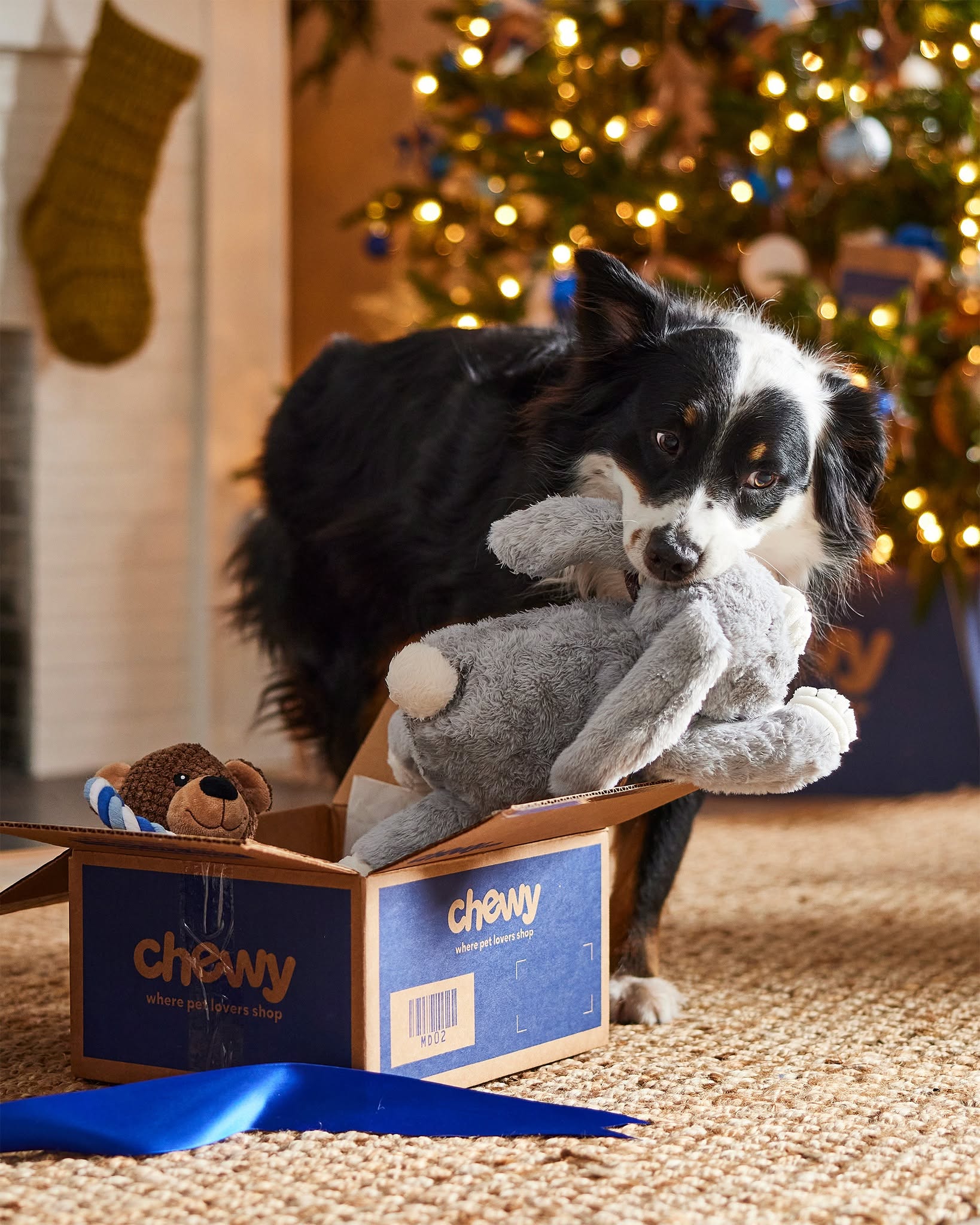 Chewy Review 2026: Is It Still the Best Online Pet Store?